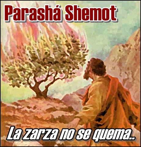 La zarza no se quemaba