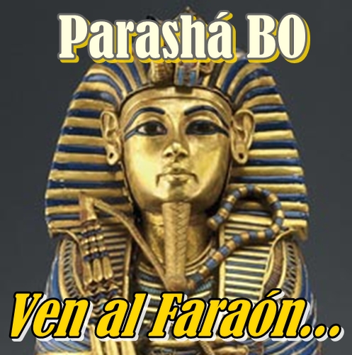 Ven a lo de Paró