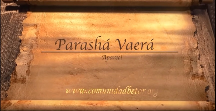 Parasha Vaera